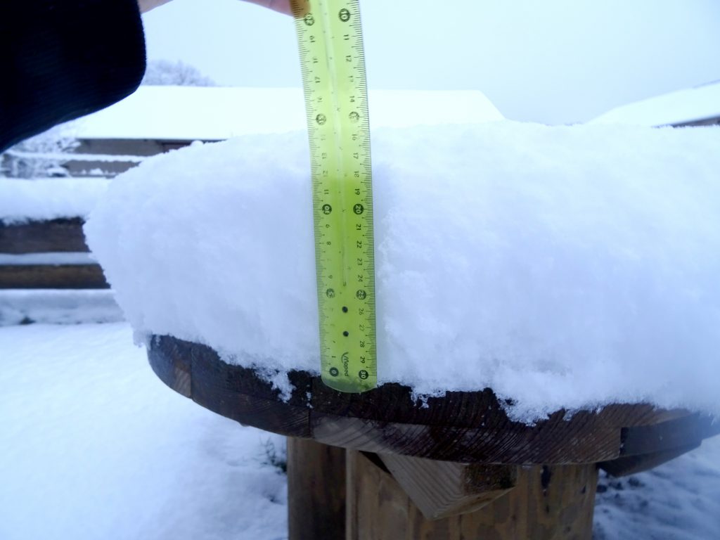 15 cm de neige à La Hardonnerie