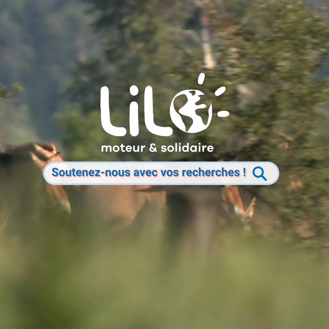Bonne résolution : cette année, essayez le moteur de recherche solidaire Lilo.org pour financer gratuitement nos actions !