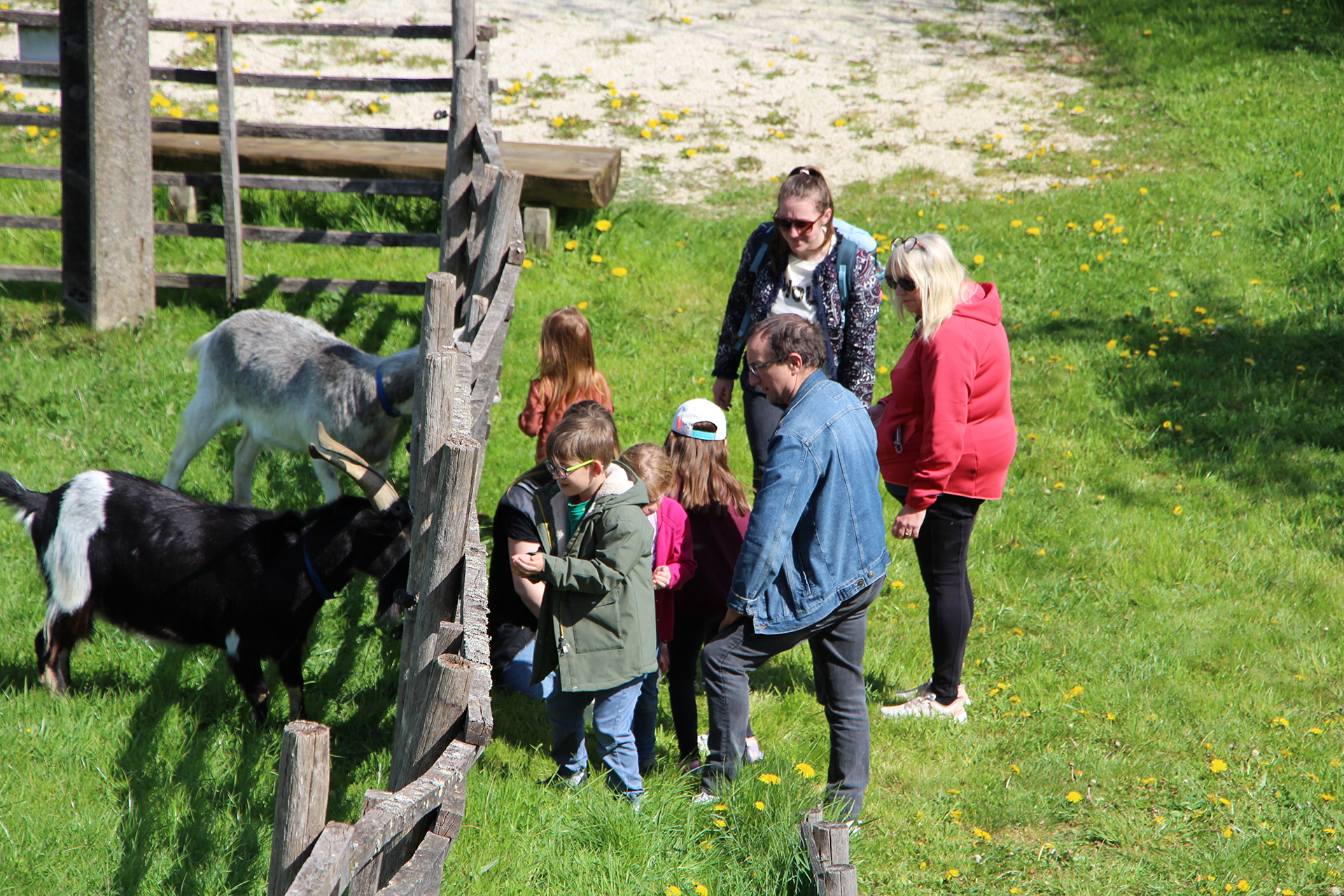 Nourrissage animaux la Hardonnerie